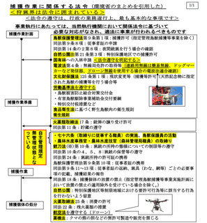 laws of hunting.jpg